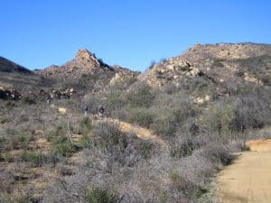 Cheeseboro Canyon – Cheeseboro Ridge Loop