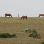 img_0725