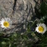 img_0738