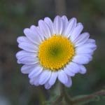 img_0763