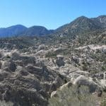 IMG_0944