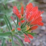 img_0954