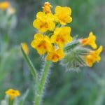 img_0957