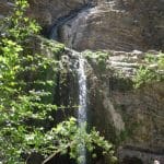 img_0974