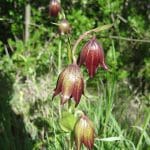 img_0975