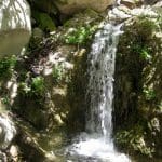 img_0990