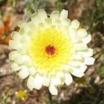 img_1019