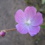 img_1051