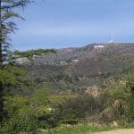 img_1173