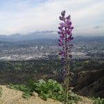 img_1217