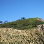 img_1245