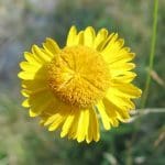 IMG_1251