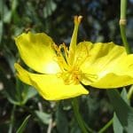 img_1257