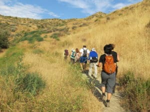 Chivo Canyon Loop