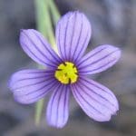 img_1469
