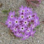img_1624
