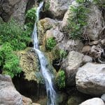 img_1649