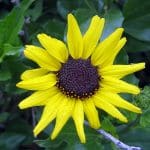 img_1654