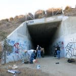 IMG_1712