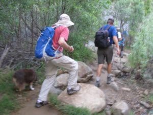 Towsley Canyon Loop -