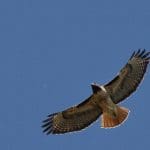 img_2384