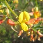 img_2468