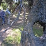 img_2682