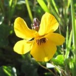 img_3004