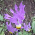 img_3033