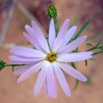 img_3178