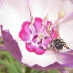 img_3430