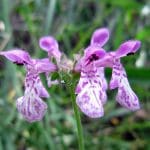 img_3639