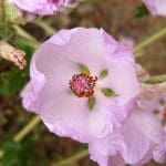 img_3681