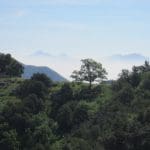img_3707
