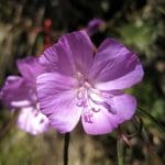 img_3941