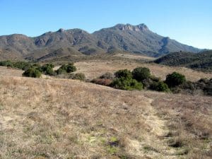 Serrano Canyon + Serrano Valley Loop from Sycamore Cove