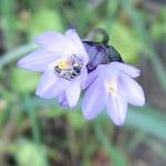 img_4769