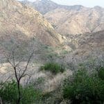 img_4776