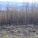 img_5055