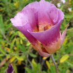 img_5973
