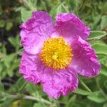 img_6108