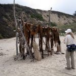 img_6252