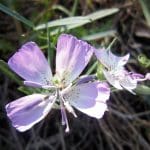 img_6443