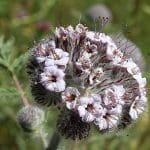 img_6654