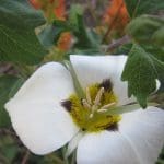 img_6869