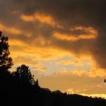 img_7134