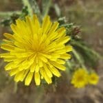 img_7285