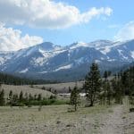 img_7446