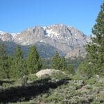 img_7545