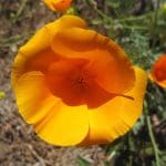 img_7557